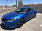 2008 Honda Accord Lxp იყიდება Anthony-ში, TX - Minor Dent/Scratches