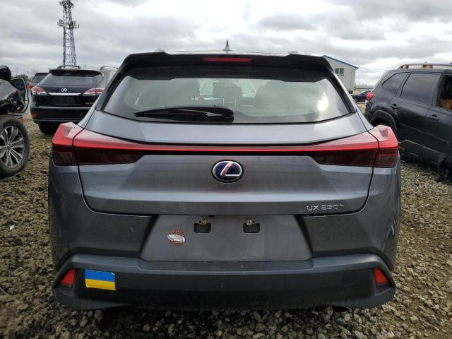  LEXUS UX 250H 2020 Gray