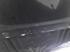 2024 FORD MUSTANG MA for sale at Copart WESTBURY
