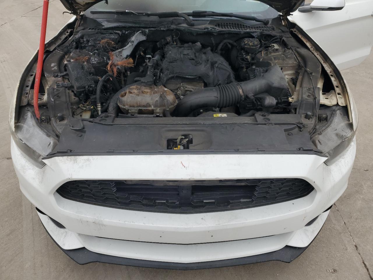 2017 Ford Mustang VIN: 1FA6P8TH5H5320473 Lot: 51389715