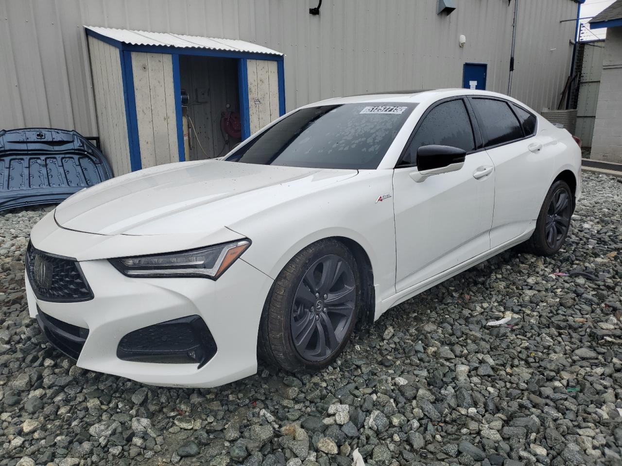 2023 Acura Tlx A-Spec იყიდება Mebane-ში, NC - Front End