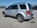 2011 Ford Escape Xlt for Sale in Bridgeton, MO - Front End