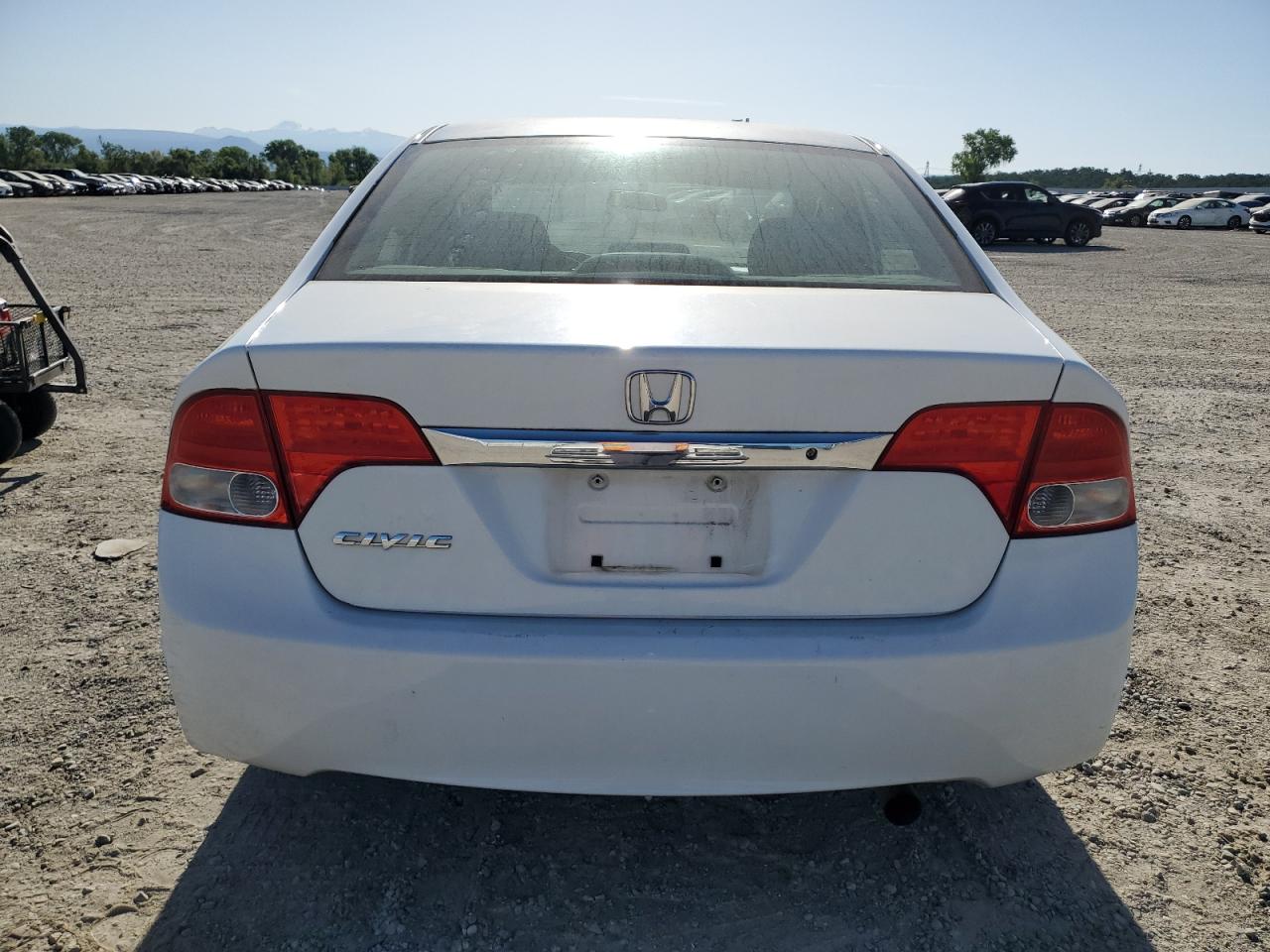 2010 Honda Civic Lx VIN: 2HGFA1F56AH527426 Lot: 54076075