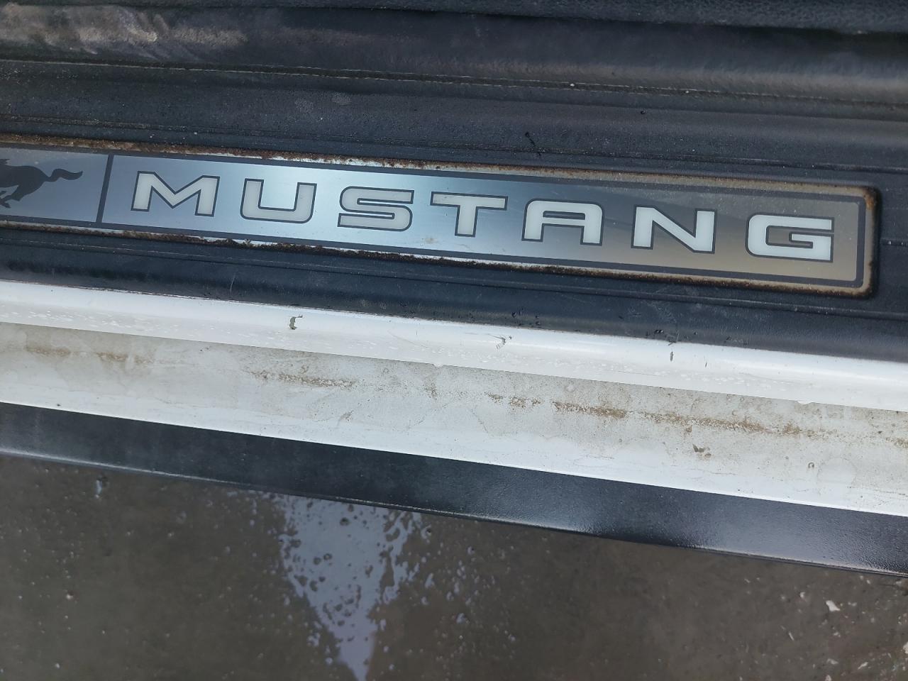 1FA6P8TH8H5295245 - 2017 Ford MUSTANG - #undefined