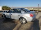 2004 Dodge Neon Base за продажба в Albuquerque, NM - Front End