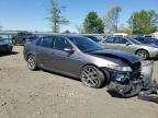 2008 Acura Tl  იყიდება Windsor-ში, NJ - Front End