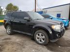 2011 Ford Escape Xlt იყიდება Denver-ში, CO - Rear End