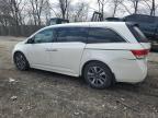 2014 Honda Odyssey Touring na sprzedaż w Cicero, IN - Rear End