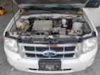 2010 Ford Escape Xlt for Sale in Greenwood, NE - Rear End