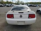 2006 Ford Mustang  იყიდება Glassboro-ში, NJ - Side