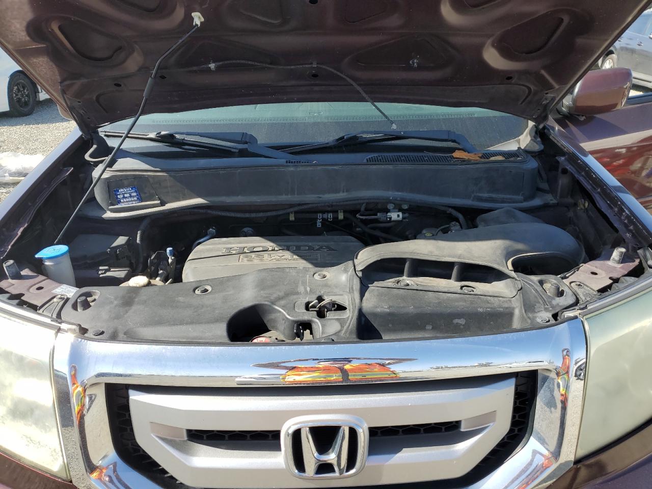 2011 Honda Pilot Exl VIN: 5FNYF3H56BB020888 Lot: 54245515