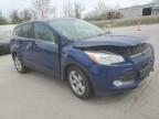 2015 Ford Escape Se zu verkaufen in Bridgeton, MO - Front End