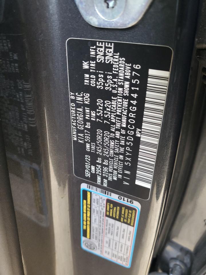 2024 Kia Telluride Sx VIN: 5XYP5DGC0RG441576 Lot: 54216365