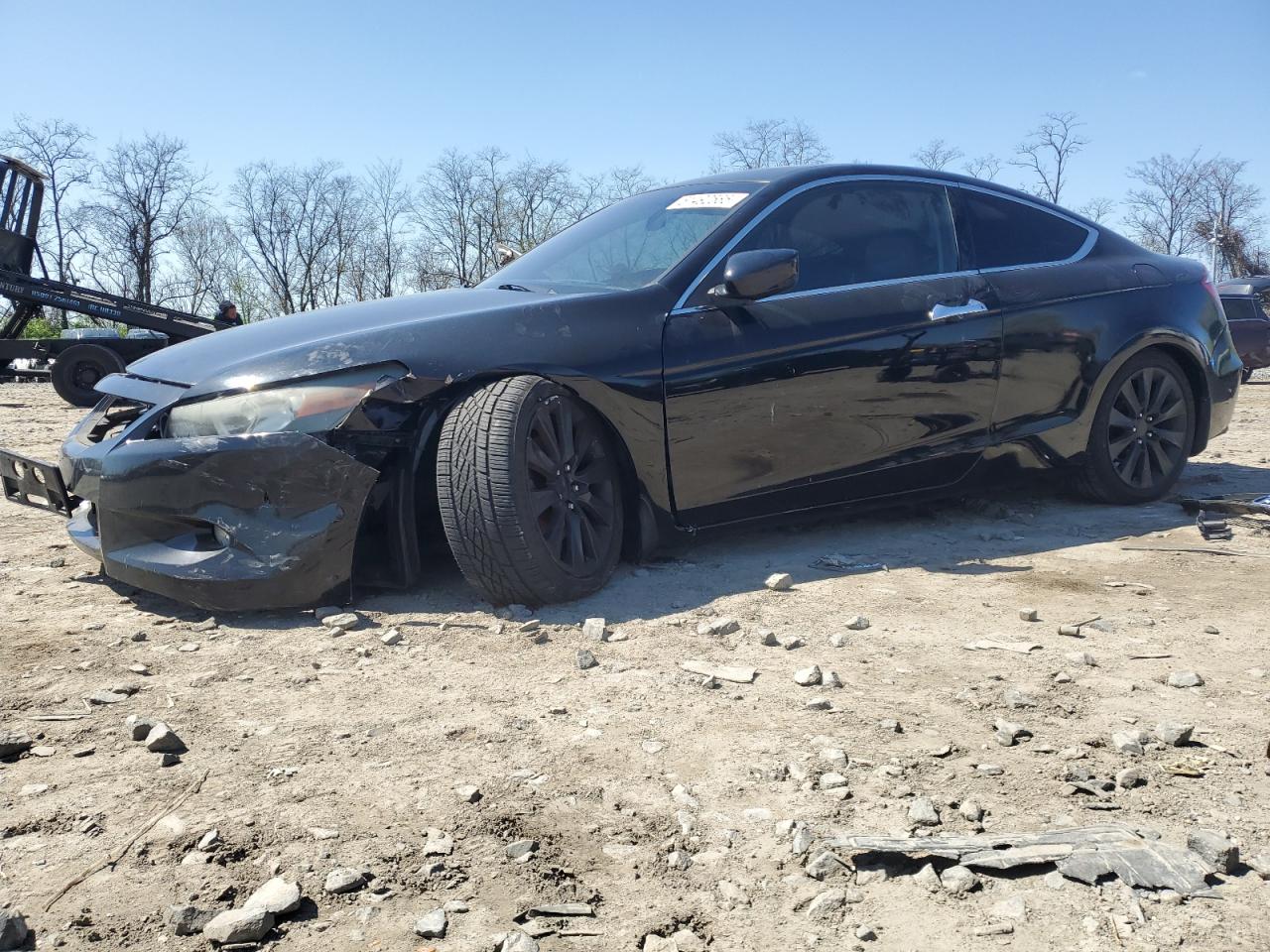 2010 Honda Accord Exl იყიდება Baltimore-ში, MD - Undercarriage
