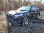 2023 TOYOTA RAV4 XLE for sale at Copart ON - COOKSTOWN
