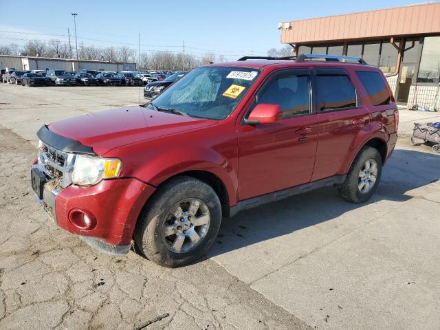 2011 Ford Escape Limited
