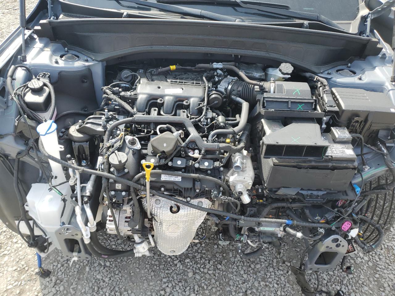 2024 Kia Telluride Sx VIN: 5XYP5DGC7RG519898 Lot: 51550725