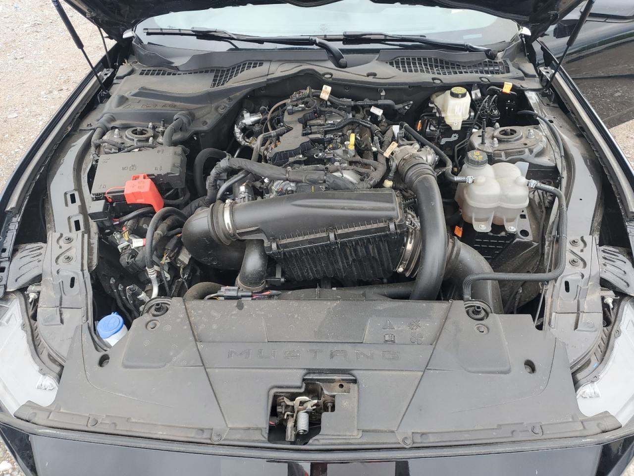 2024 Ford Mustang VIN: 1FA6P8TH8R5105400 Lot: 55245675