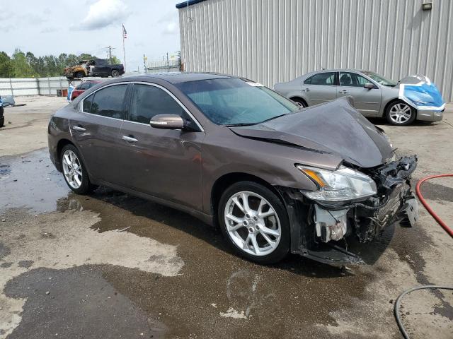  NISSAN MAXIMA 2012 tan