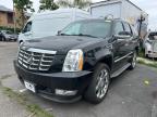 2013 Cadillac Escalade Luxury للبيع في Rancho Cucamonga، CA - Minor Dent/Scratches
