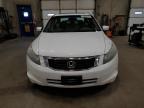 2009 Honda Accord Exl იყიდება Blaine-ში, MN - Rear End