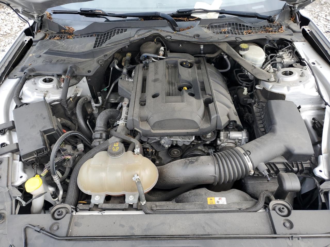 2017 Ford Mustang VIN: 1FA6P8TH5H5299334 Lot: 54916765