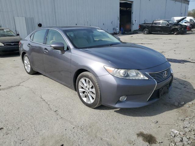 Sedans LEXUS ES300 2013 Gray