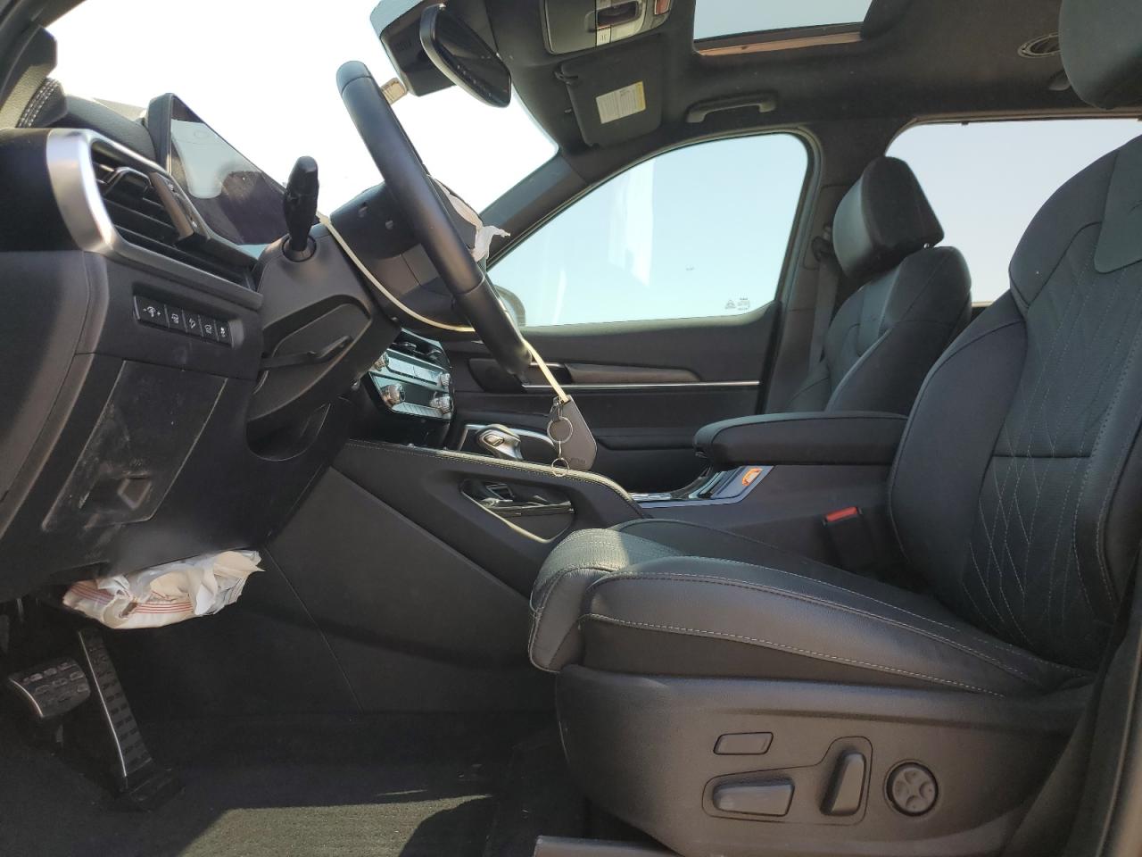 2024 Kia Telluride Sx VIN: 5XYP5DGC2RG441689 Lot: 52587315