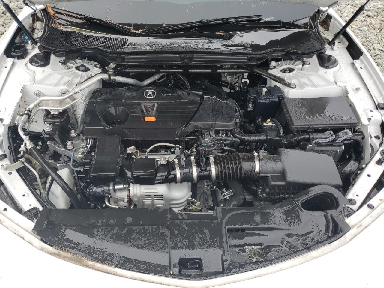 2023 Acura Tlx A-Spec VIN: 19UUB6F57PA004277 Lot: 51257715