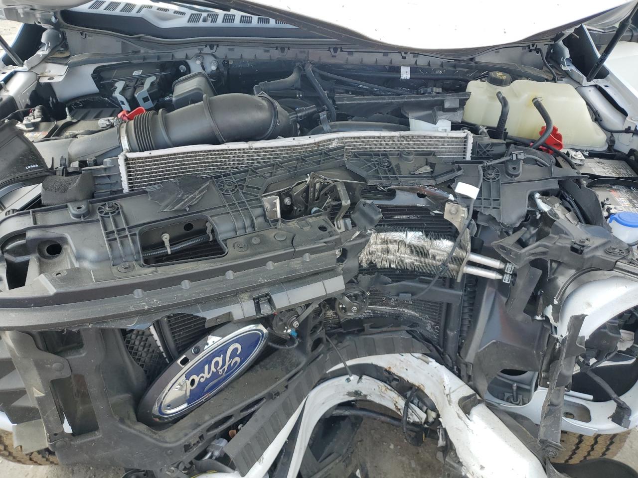 2024 Ford F250 Super Duty VIN: 1FT8W2BA7RED68145 Lot: 53981265
