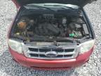 2008 Ford Escape Xlt for Sale in Apopka, FL - Rear End