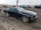 2006 Ford Mustang  იყიდება Cicero-ში, IN - Front End