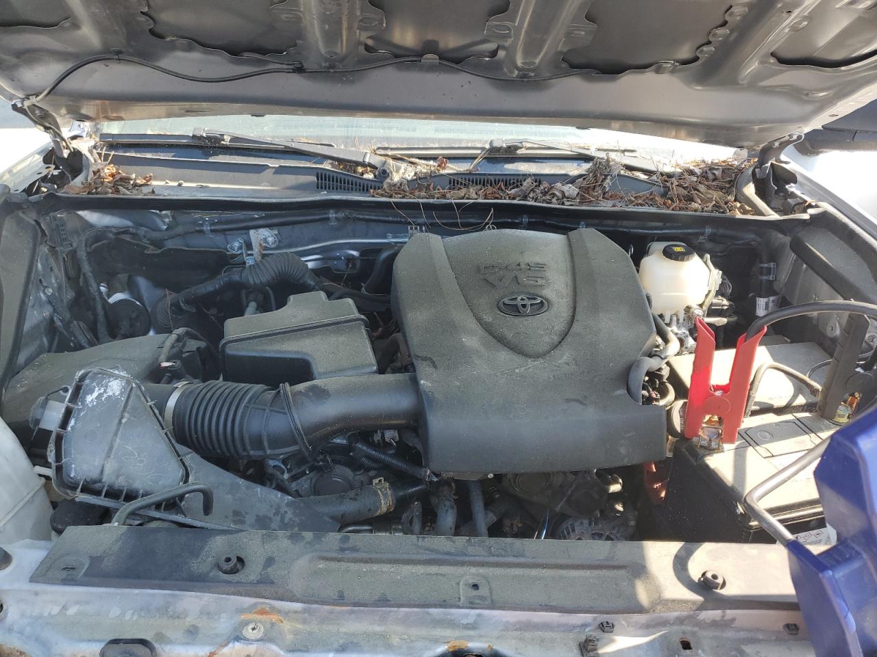 2020 Toyota Tacoma Double Cab VIN: 3TMCZ5AN6LM316532 Lot: 53616305