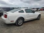 2005 Ford Mustang  for Sale in Jacksonville, FL - Front End