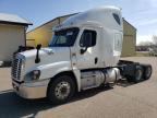 2016 Freightliner Cascadia 125  zu verkaufen in Avon, MN - Side