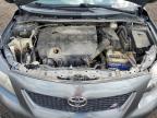 2010 Toyota Corolla Base de vânzare în Des Moines, IA - Biohazard/Chemical