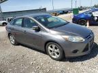 2013 Ford Focus Se იყიდება Columbus-ში, OH - Hail