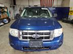 2008 Ford Escape Xls იყიდება Billings-ში, MT - Hail
