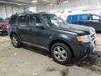 2009 Ford Escape Limited იყიდება Franklin-ში, WI - Front End