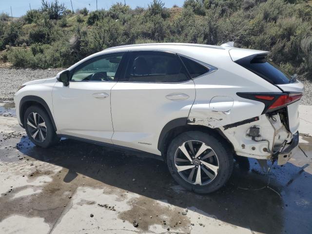  LEXUS NX 2018 White