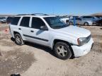 2004 Chevrolet Trailblazer Ls იყიდება Magna-ში, UT - Front End