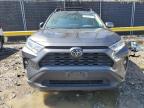 2019 Toyota Rav4 Xle Premium for Sale in Waldorf, MD - Rear End