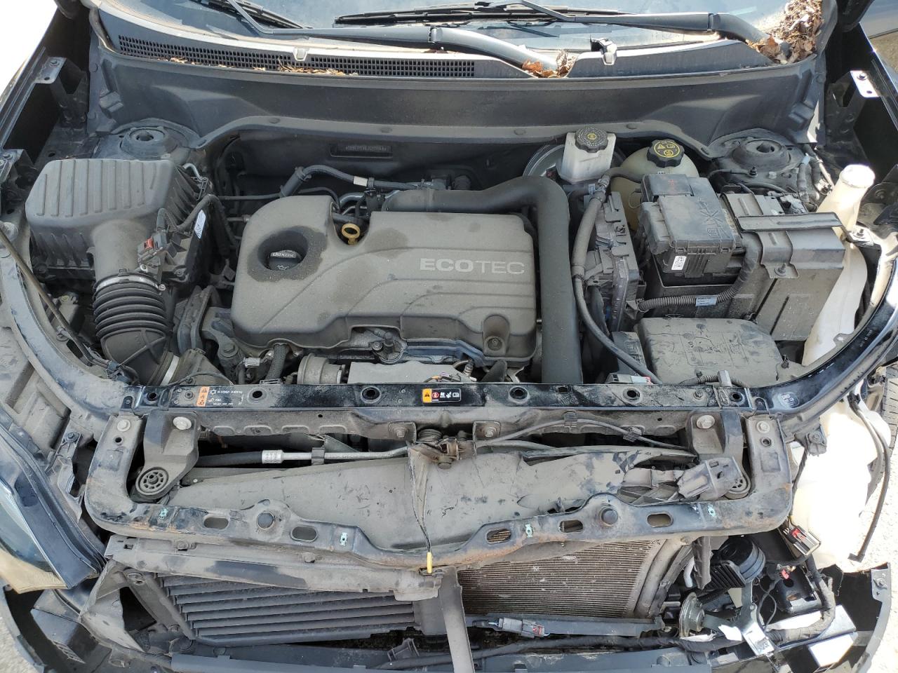 2018 Chevrolet Equinox Ls VIN: 2GNAXHEV8J6229948 Lot: 55258375