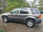 2006 Ford Escape Xlt na sprzedaż w Gaston, SC - Normal Wear