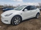 2021 Tesla Model Y  продається в Chicago Heights, IL - All Over