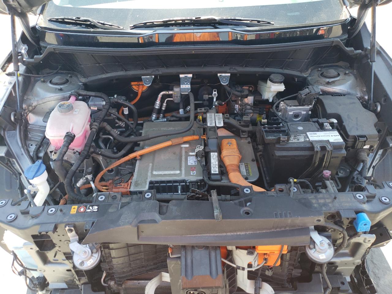 2023 Kia Niro Wind VIN: KNDCR3L15P5028236 Lot: 54884405