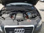 2010 Audi Q5 Premium Plus for Sale in Windsor, NJ - Rear End