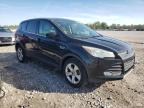 2015 Ford Escape Se for Sale in Cahokia Heights, IL - Hail