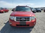 2012 Ford Escape Xlt for Sale in Earlington, KY - Hail