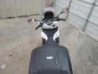 Madisonville, TN에서 판매 중인 2022 Honda Ww150  - Side